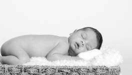 Lucia LOPS - LULU PHOTOGRAPHY