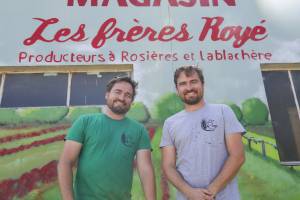 Albert LICTEVOUT - Albert Lictevout