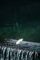 Adrien MOTTE - Adrien MOTTE